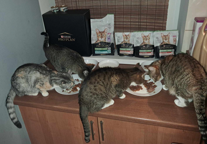 Agnieszka, Olecko Agnieszka, Olecko