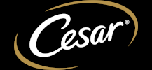 Cesar Cesar