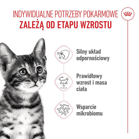 Royal Canin Kitten Sterilised 2kg Karma Sucha Dla Kociąt Sterylizowanych Od 4 Do 12 Miesiąca Życia