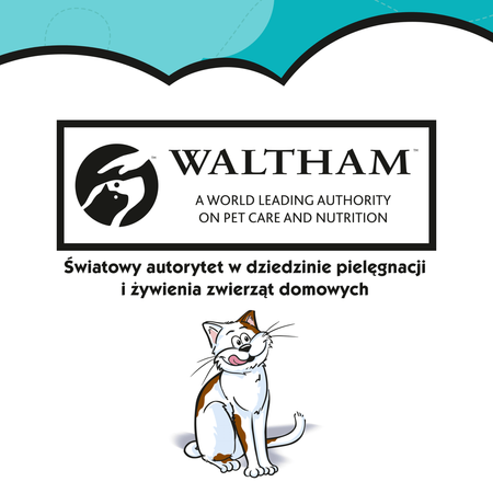 Dreamies Przysmak Dla Kota Chrupiące Paszteciki Z Nadzieniem Z Nutą Kocimiętki 6x60g