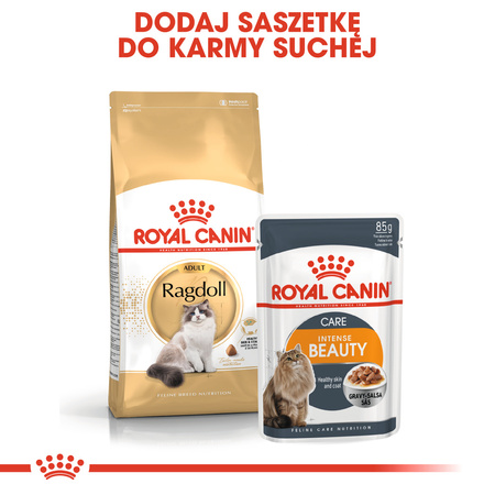 Royal Canin FBN Ragdol Adult 10kg Karma Sucha Dla Kotów Dorosłych Rasy Ragdoll