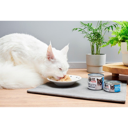 John Dog for Cats Mokra Karma Dla Dorosłych Kotów Tuńczyk Z Kurczakiem 70g