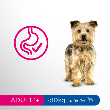 Perfect Fit Adult 1+ Bogaty W Kurczaka 3x2,6kg Sucha Karma Dla Psa Małej Rasy