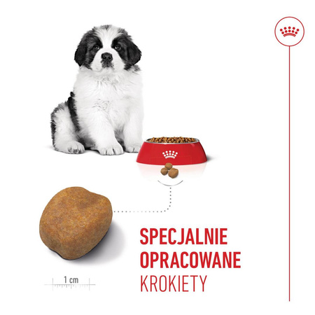 Royal Canin SHN Giant Puppy 15kg Karma Sucha Dla Szczeniąt Od 2 Do 8 Miesiąca Życia Ras Olbrzymich