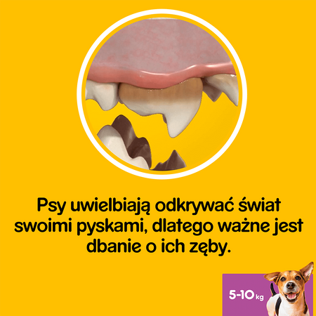 PEDIGREE DentaStix małe rasy 56 sztuk (8x110g) Gryzak dla psów