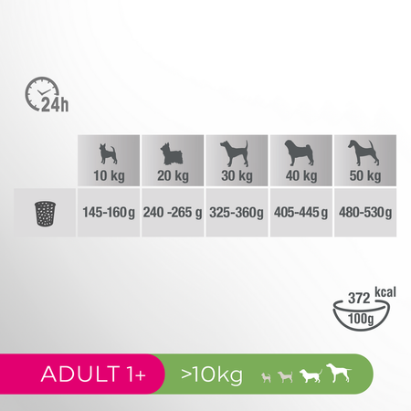 Perfect Fit 6kg Sucha Karma Pełnoporcjowa Dla Dorosłych Psów Średnich I Dużych Ras Kurczak