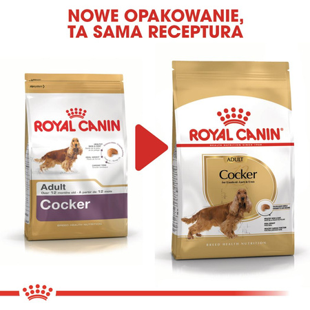 Royal Canin BHN Cocker Spaniel Adult 12kg Karma Sucha Dla Psów Dorosłych Rasy Cocker Spaniel