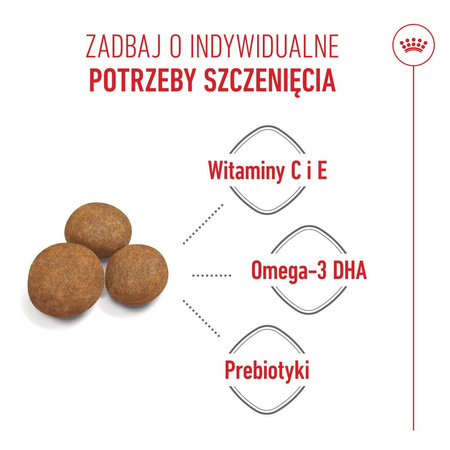 Royal Canin Maxi Puppy 15kg Karma Sucha Dla Szczeniąt Od 2 Do 15 Miesiąca Życia Ras Dużych