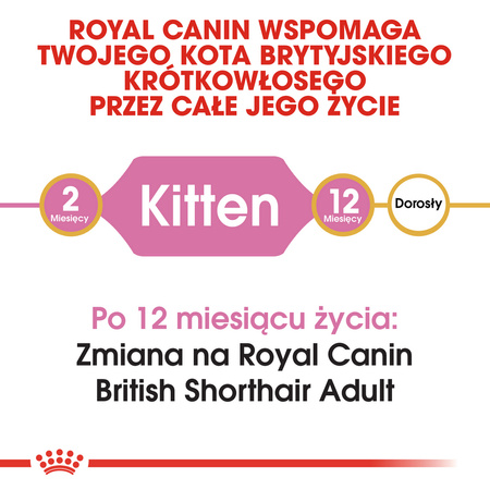 Royal Canin FBN British Shorthair Kitten 10kg Karma Sucha Dla Kociąt Do 12 Miesiąca Rasy Brytyjski Krótkowłosy