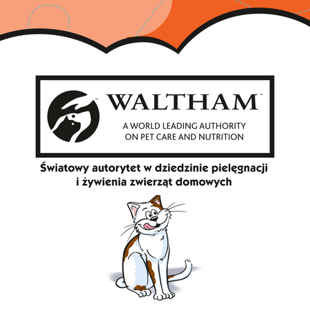 Dreamies z Pysznym Kurczakiem 6x60g (360g) Przysmaki dla kota