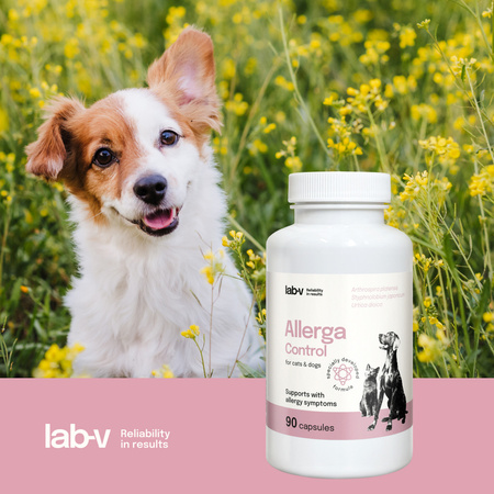 LAB-V Allerga Control Suplement Dla Psów i Kotów 90 Kapsułek Łagodzenie Alergii Wsparcie Odporności