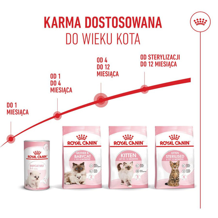 Royal Canin FHN Kitten 10kg Karma Sucha Dla Kociąt Od 4 Do 12 Miesiąca Życia