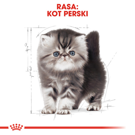 Royal Canin FBN Persian Kitten 2kg Karma Sucha Dla Kociąt Do 12 Miesiąca Życia Rasy Pers