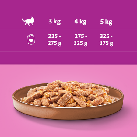 WHISKAS 1+ z Kaczką w Galaretce 48x400 g Puszka Mokra karma dla kotów dorosłych