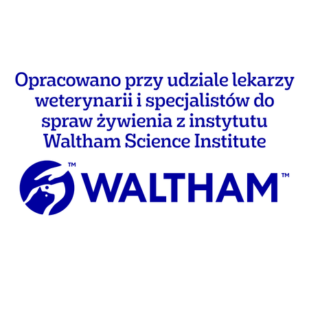 Pedigree Tasty Minis Chewy Cubes Z Kurczakiem 6x130g Przysmak dla psa