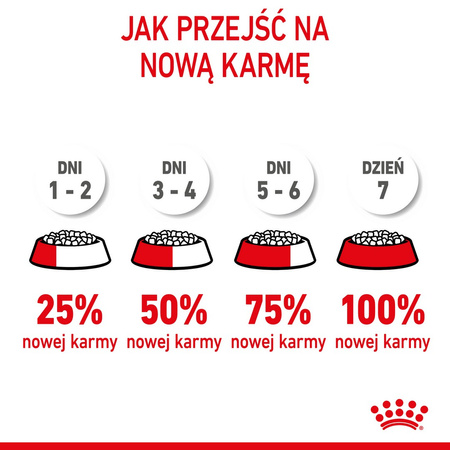 Royal Canin Fhn Kitten 10kg Karma Sucha Dla Kociąt +12x85g Mokra Karma w Sosie