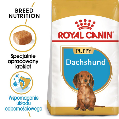 Royal Canin BHN Dachshund Puppy 1,5kg Karma Sucha Dla Szczeniąt Do 10 Miesiąca Rasy Jamnik