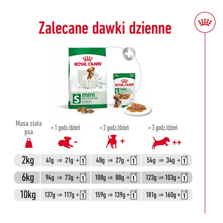 Royal Canin Mini Adult 8kg Karma Sucha Dla Psów Dorosłych Ras Małych