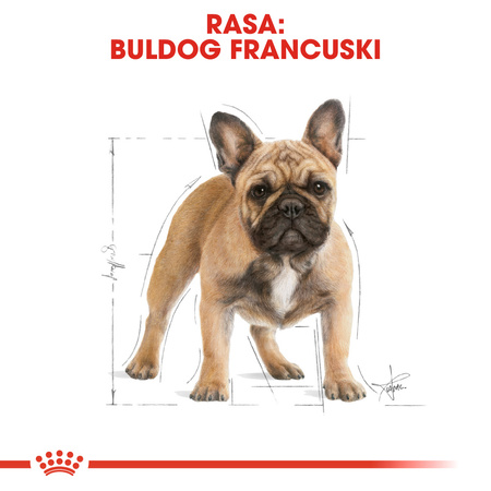 ROYAL CANIN Breed Health Nutrition ADULT FRENCH BULLDOG 9kg sucha karma dla psów rasy buldog francuski