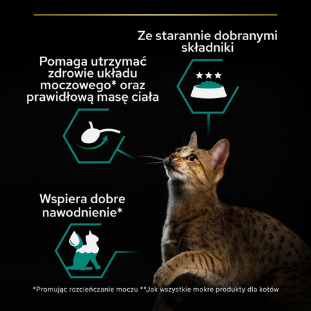 Purina Pro Plan Adult Maintenance Sterilised 85g Mokra Karma Dla Kota Wilgotny Pasztet z Łososiem i Tuńczykiem