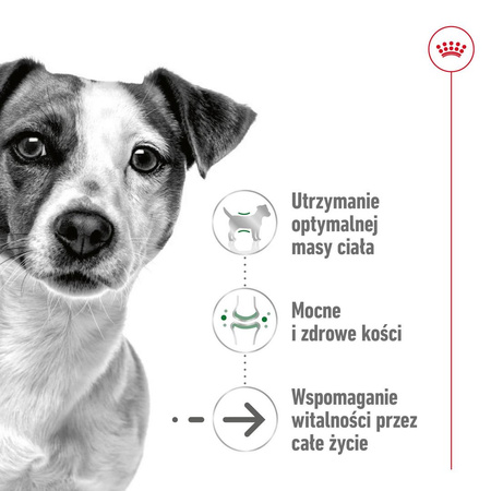 Royal Canin Mini Ageing 12+ 12x85g Karma Mokra Kawałki W Sosie Dla Psów Dojrzałych Po 12 Roku Życia Ras Małych