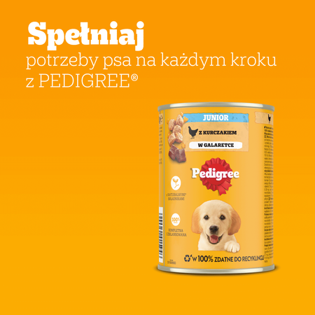 PEDIGREE Junior 24x400g z Kurczakiem w galaretce Zdrowy Start dla szczeniąt 1-12 miesięcy