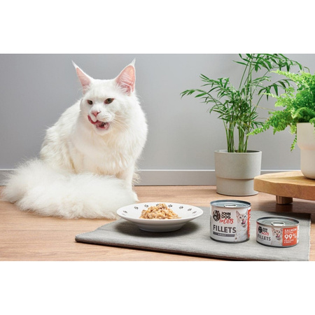 John Dog for Cats Mokra Karma Dla Dorosłych Kotów Łosoś Z Jajkiem 70g