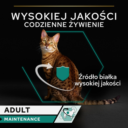 Purina Pro Plan Adult Maintenance 85g Mokra Karma Dla Kota Wilgotny Pasztet z Kurczakiem