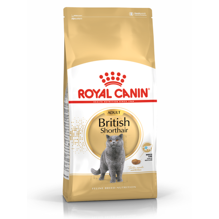 ROYAL CANIN British Shorthair 4kg karma sucha dla kotów dorosłych rasy brytyjski krótkowłosy
