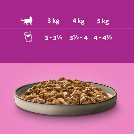 Whiskas Adult 13x340g Drobiowe Frykasy Mokra Karma Dla Dorosłego Kota W Galaretce Kawałki Z Kurczakiem I Z Indykiem