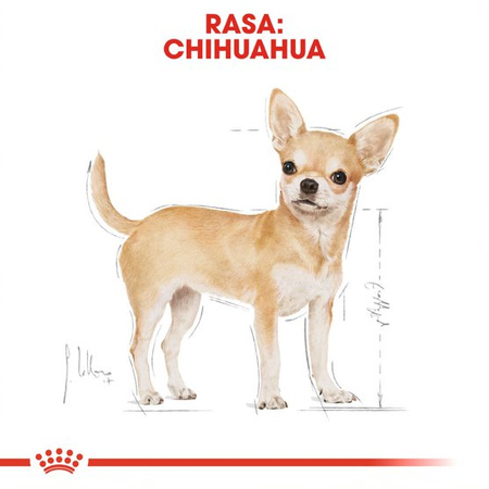 Royal Canin BHN Chihuahua Adult 12x85g Karma Mokra Pasztet Dla Psów Dorosłych Rasy Chihuahua