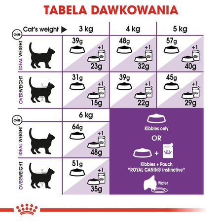 Royal Canin FHN Sensible 33 Adult 10kg Sucha Karma Dla Dorosłych Kotów Z Wrażliwym Układem Pokarmowym