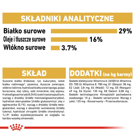 Royal Canin BHN Golden Retriever Puppy 12kg Karma Sucha Dla Szczeniąt Do 15 Miesiąca Rasy Golden Retriever