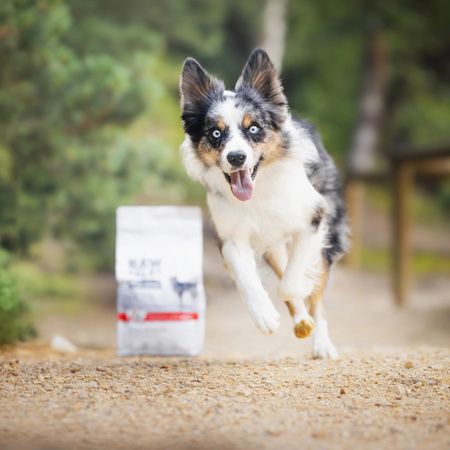 Raw Paleo Ultra Beef Medium&Large Puppy 10kg Sucha Karma z Wołowiną Dla Szczeniąt