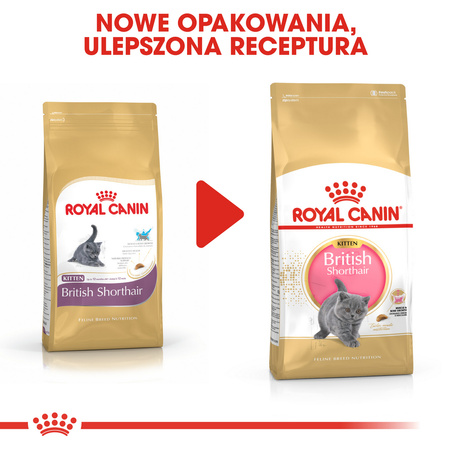 Royal Canin FBN British Shorthair Kitten 10kg Karma Sucha Dla Kociąt Do 12 Miesiąca Rasy Brytyjski Krótkowłosy