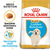 Royal Canin BHN Golden Retriever Puppy 3kg Karma Sucha Dla Szczeniąt Do 15 Miesiąca Rasy Golden Retriever