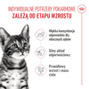 Royal Canin FHN Kitten Sterilised W Galaretce 12x85g Karma Mokra Dla Kociąt Sterylizowanych Do 12 Miesiąca Życia