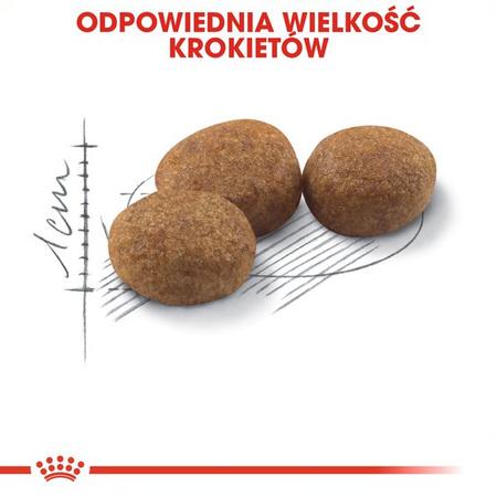 Royal Canin Sterilised 10kg Sucha Karma Dla Kotów Dorosłych Sterylizowanych