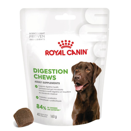 Royal Canin Supplements Dog Digestion Adult 160g Suplementy Dla Psów Dorosłych W Postaci Przysmaków Wspierające Prawidłowe Trawienie