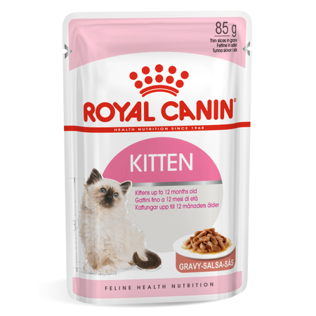 Royal Canin Fhn Kitten 10kg Karma Sucha Dla Kociąt +12x85g Mokra Karma w Sosie