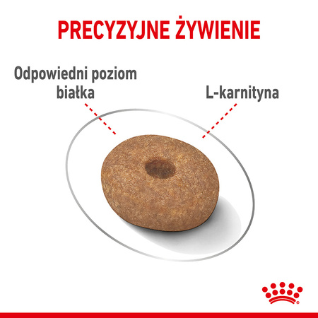 Royal Canin Mini Light Weight Care 8kg Karma Sucha Dla Psów Małych Ras Z Tendencją Do Nadwagi
