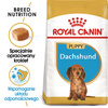 Royal Canin BHN Dachshund Puppy 1,5kg Karma Sucha Dla Szczeniąt Do 10 Miesiąca Rasy Jamnik