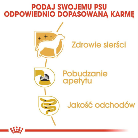 Royal Canin BHN Adult Yorkshire Terrier 12x85g Mokra Karma Pasztet Dla Psów Rasy York