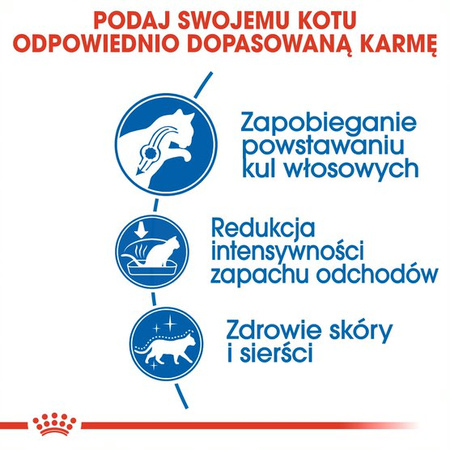 Royal Canin Indoor Long Hair 10kg Karma Sucha Dla Kotów Dorosłych Długowłosych Przebywających Wyłącznie W Domu
