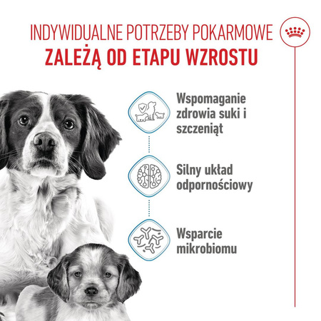 Royal Canin Medium Starter Mother&Babydog 15kg Karma Sucha Dla Suk W Ciąży I Okresie Laktacji Oraz Szczeniąt Ras Średnich