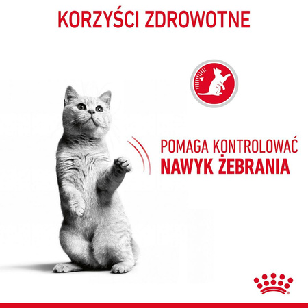 Royal Canin Appetite Control 2kg Karma Sucha Dla Kotów Dorosłych Domagających Się Jedzenia