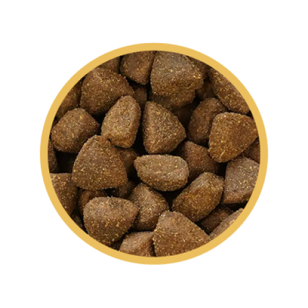 Biofeed Euphoria Fresh Turkey & Rabbit 2kg Sucha Karma Dla Szczeniąt Średnich I Dużych Ras Ze Świeżym Indykiem