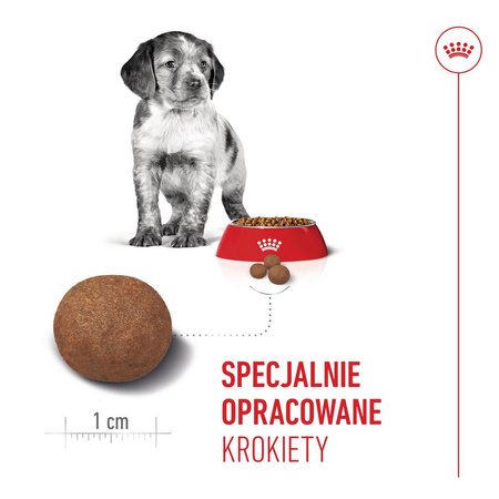 Royal Canin Shn Medium Puppy 4kg Karma Sucha Dla Szczeniąt Od 2 Do 12 Miesiąca Ras Średnich