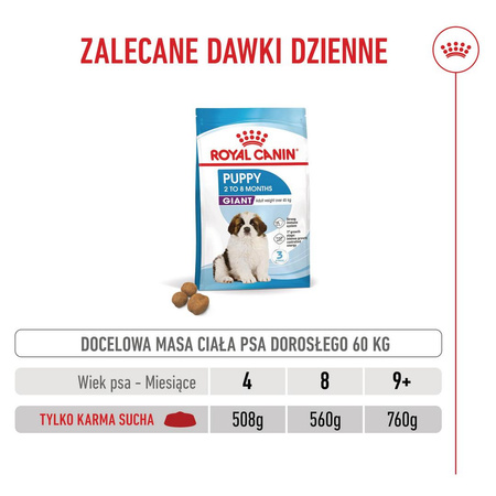Royal Canin SHN Giant Puppy 15kg Karma Sucha Dla Szczeniąt Od 2 Do 8 Miesiąca Życia Ras Olbrzymich