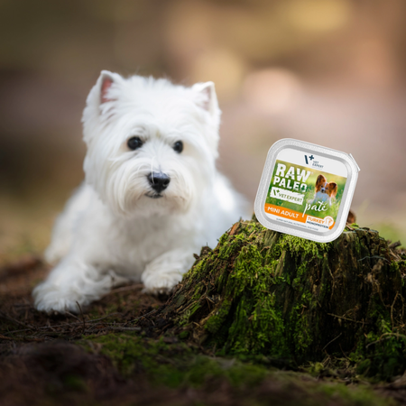 Raw Paleo Pate Mini Adult Turkey Tacka 150g Mokra Karma Dla Psów Małych Ras z Indykiem